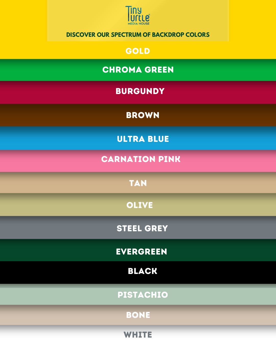 Backdrop colors available at Tiny Turtle studio